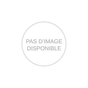 Axe de maintien