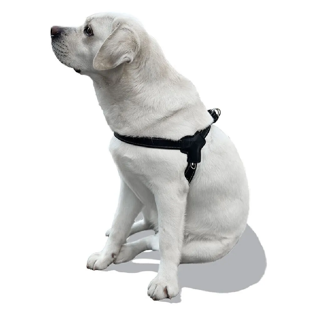 Harnais pour chien taille M 56-69cm
