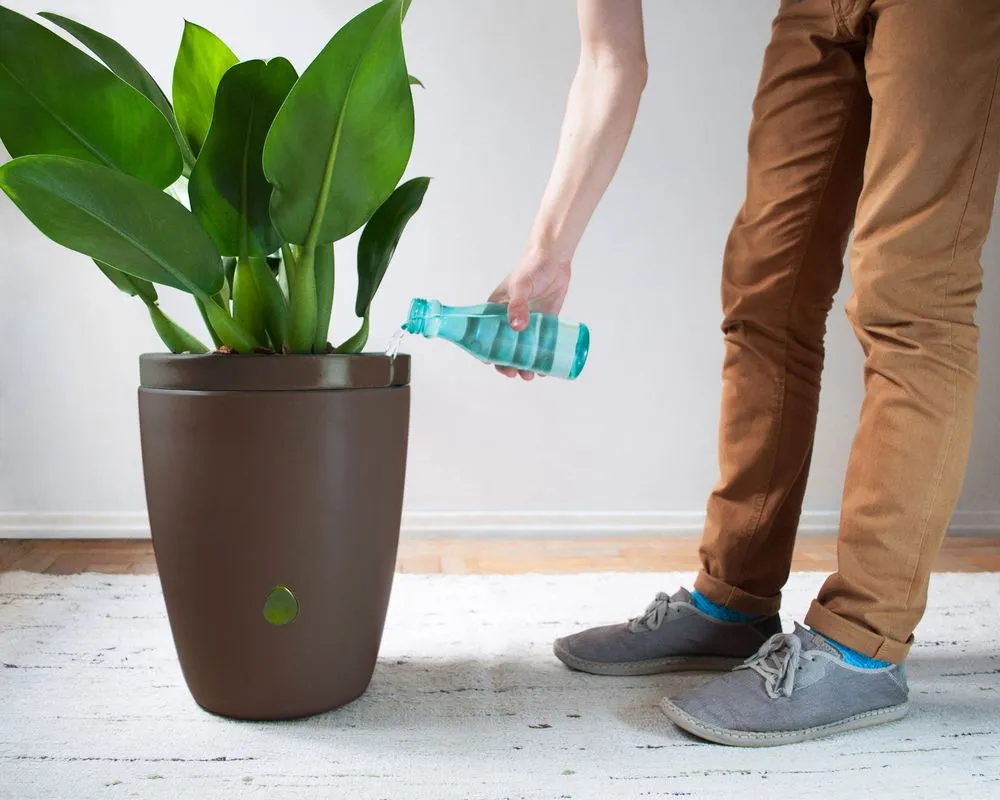 Maré vase