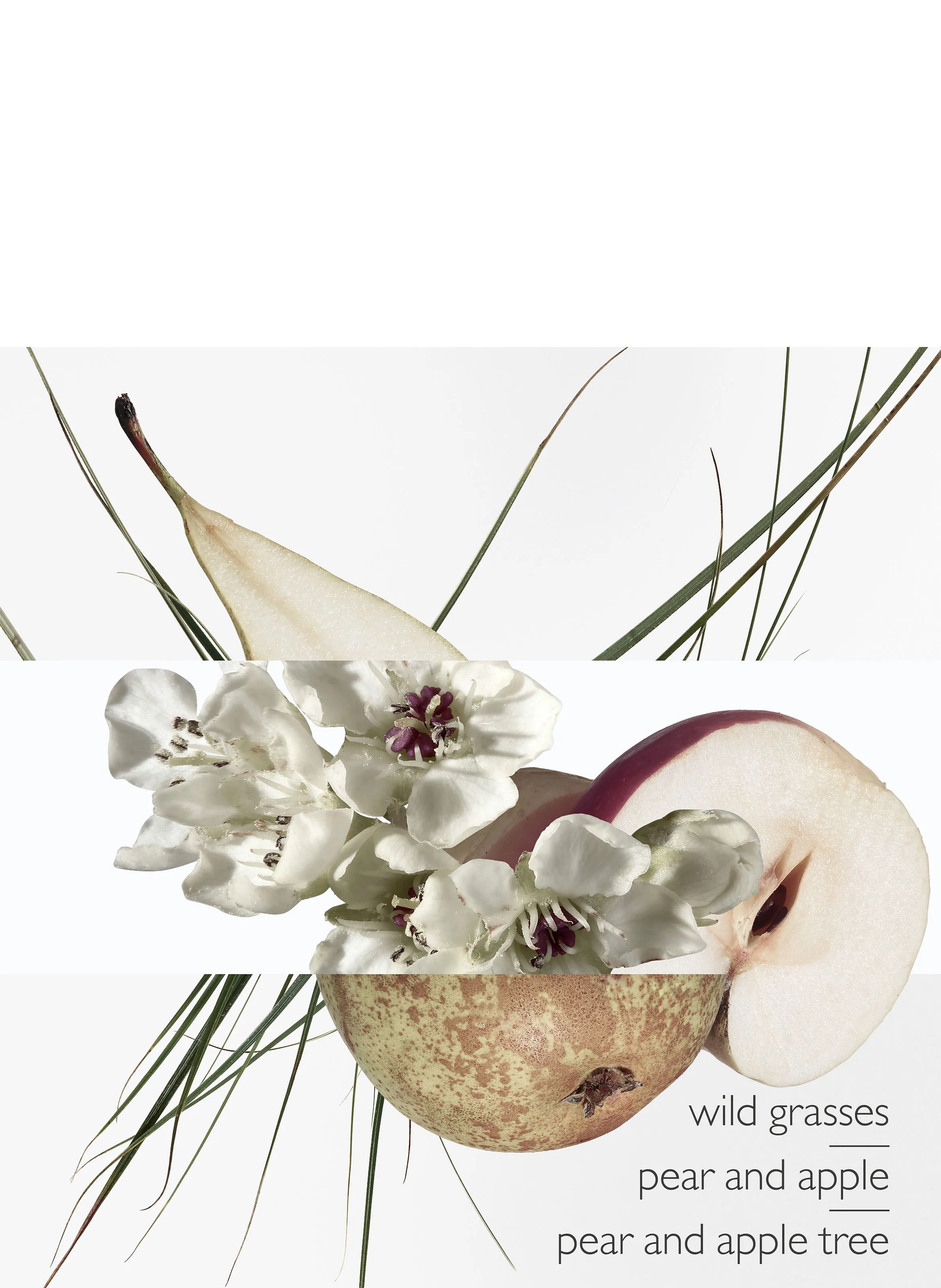 UN JARDIN SUR LE TOIT, EAU DE TOILETTE - HERMèS pour BEAUTé | Printemps